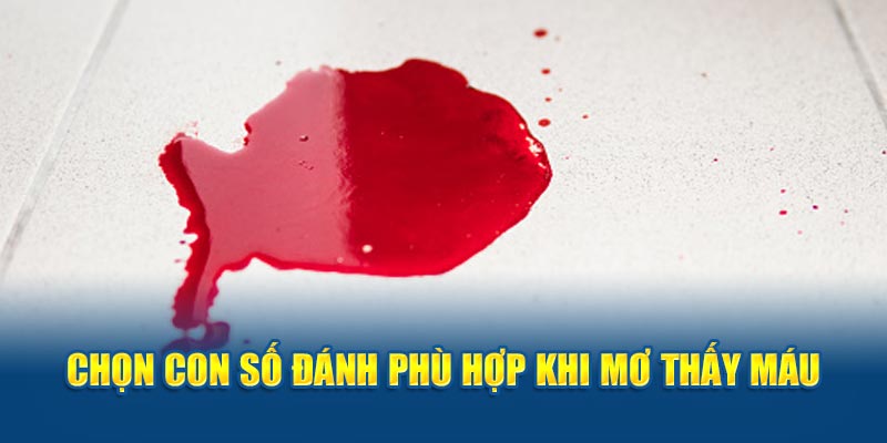 Chọn con số đánh phù hợp khi mơ thấy máu